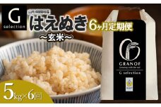 【令和7年産先行予約】【定期便6ヶ月】 Gセレクション はえぬき【玄米】 5kg×6ヶ月 山形県鶴岡市産　株式会社グラノフ