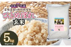 【令和7年産先行予約】 富樫農園の特別栽培米ひとめぼれ 玄米 5kg 山形県鶴岡市産　K-732