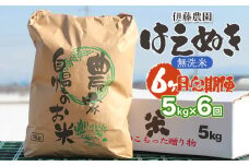 【令和7年産先行予約】【6ヶ月定期便】はえぬき 無洗米　5kg×6回　伊藤農園