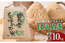 【令和7年産先行予約】庄内おばこ農場の特別栽培米 はえぬき【玄米】10kg（10kg×1袋）　K-775