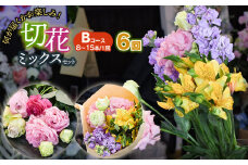 何が届くかお楽しみ★【6ヶ月定期便】鶴岡産切花ミックスセットBコース6回　花蔵（HANAZO）　K-756