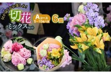 何が届くかお楽しみ★【6ヶ月定期便】鶴岡産切花ミックスセットAコース6回　花蔵（HANAZO）　K-733