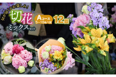 何が届くかお楽しみ★【12ヶ月定期便】鶴岡産切花ミックスセットAコース12回　花蔵（HANAZO）　K-733