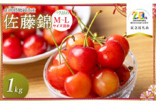 【令和7年産先行予約】さくらんぼ 佐藤錦 バラ詰め M～L混合 1kg (500g×2P)　【市制施行20周年記念返礼品】　庄内さくらんぼ園