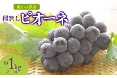【令和7年産先行予約】 種なしピオーネ　約1kg（2～3房） 山形県鶴岡市産　重ちゃん農園