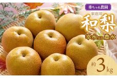 【令和7年産先行予約】家庭用　和梨（幸水または豊水）約3kg　山形県鶴岡市産　重ちゃん農園