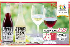 鶴岡産ワイン　2025年ヌーボーROUGE（赤ワイン）・BLANC（白ワイン）　720ml×2本　【市制施行20周年記念返礼品】ピノ・コッリーナファーム&ガーデンワイナリー松ケ岡
