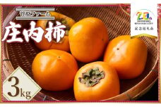 【令和7年産先行予約】　庄内柿　約3kg　山形県鶴岡市産　【市制施行20周年記念返礼品】　菅原ファーム　