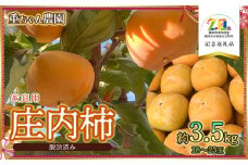 【令和7年産先行予約】　庄内柿 （ひらたねなし柿）　家庭用　約3.5kg　18～23玉　【市制施行20周年記念返礼品】　重ちゃん農園