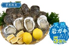 【令和7年 先行予約】天然岩ガキ 5個入り (岩ガキ専用ナイフ付き)　庄内観光物産館
