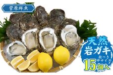 【令和7年 先行予約】天然岩ガキ 15個入り (岩ガキ専用ナイフ付き)　庄内観光物産館