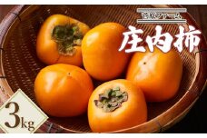 【令和7年産先行予約】　庄内柿　約3kg　山形県鶴岡市産　菅原ファーム　
