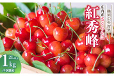 【令和7年産】さくらんぼ 紅秀峰　バラ詰め1kg　2Lサイズ以上　鶴岡中央青果