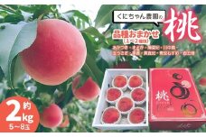 【令和7年産先行予約】 鶴岡市産 桃 (品種おまかせ) 約2kg　(5～8玉)　くにちゃん農園　K-736