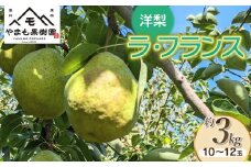 【令和7年産先行予約】洋梨　ラ・フランス　約3㎏（10～12玉） やまも果樹園