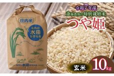 【令和7年産先行予約】 斎藤農場の特別栽培米 つや姫 玄米 10kg　山形県鶴岡市 [K-7117]