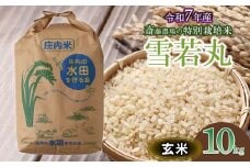 【令和7年産先行予約】 斎藤農場の特別栽培米 雪若丸 玄米 10kg 山形県鶴岡市 [K-7117]