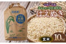 【令和7年産先行予約】 斎藤農場の特別栽培米 はえぬき 玄米 10kg(10kg×1袋) 山形県鶴岡市 [K-7114]