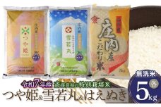 【令和7年産先行予約】 斎藤農場の特別栽培米 つや姫無洗米・雪若丸無洗米・はえぬき無洗米 各5kg 山形県鶴岡市 [K-7174]