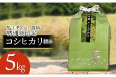 【令和7年産先行予約】 黒川まるいし農場の特別栽培米 コシヒカリ 5kg　山形県鶴岡市産　K-745