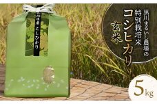 【令和7年産先行予約】 黒川まるいし農場の特別栽培米コシヒカリ玄米　5kg 　山形県鶴岡市産　K-740