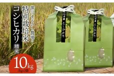 【令和7年産先行予約】 黒川まるいし農場の特別栽培米 コシヒカリ 10kg (5kg×2)　山形県鶴岡市産　K-784