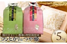 【令和7年産先行予約】 黒川まるいし農場の特別栽培米つや姫 5kg・コシヒカリ 5kg (計10kg) 山形県鶴岡市産　K-787