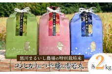 【令和7年産先行予約】 黒川まるいし農場の特別栽培米 コシヒカリ・つや姫・雪若丸　各2kg　山形県鶴岡市産　K-761