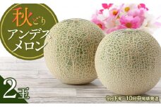 【令和7年産先行予約】 秋どりアンデスメロン 2玉 (3Lサイズ) 山形県鶴岡市産 庄内砂丘メロン　小林ファーム