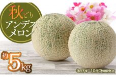 【令和7年産先行予約】 秋どりアンデスメロン 約5kg (3～4玉入) 山形県鶴岡市産 庄内砂丘メロン　小林ファーム