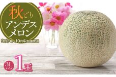 【令和7年産先行予約】 秋どりアンデスメロン 1玉（3Lサイズ） 山形県鶴岡市産 庄内砂丘メロン　小林ファーム