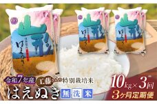 【令和8年2月発送開始】【令和7年産】【3ヶ月定期便】工藤さんの特別栽培米 はえぬき無洗米 10kg(5kg×2袋)×3回 （計30kg） 山形県鶴岡市　株式会社サンエイファーム