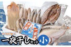 庄内浜加工　一夜干しセット（小）　鶴岡魚類株式会社　K-739