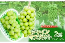 【令和7年産】シャインマスカット 2房（約1.2～1.4kg）　クドウファーム