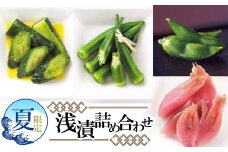 【令和8年発送 先行予約】　夏限定！　浅漬詰合せ　［K-723］ 株式会社 本長