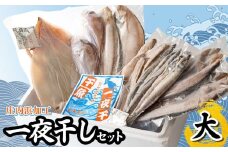 庄内浜加工　一夜干しセット（大）　鶴岡魚類株式会社　K-754