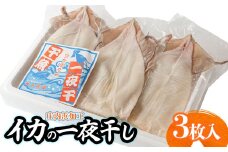 庄内浜加工　イカ一夜干し 3枚　鶴岡魚類株式会社　K-747
