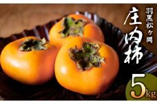 【令和7年産 先行予約】羽黒松ヶ岡庄内柿 5kg　丸果庄内青果