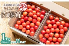 【令和8年産先行予約】【訳あり】 さくらんぼ 佐藤錦 Mサイズ バラ詰め 1kg（500g×2P）鶴岡市産　大膳農園