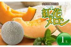 【令和8年産先行予約】 紅花メロン(赤肉)　3Lサイズ　1玉入り1箱　山形県鶴岡市産　小林ファーム 