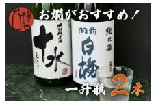 お燗で楽しむＢセット　1800ml×2本　日本酒　k30-769