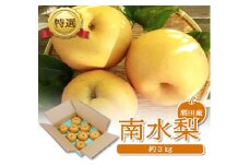 酒田産【特選】 南水梨　約3kg(5～9玉入) SA2641