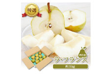 酒田産【特選】  ラ・フランス　約3kg(6～9玉入) SA2643