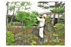 庭木お手入れサービス（庭木の剪定・草刈り２時間×２人） FS0001