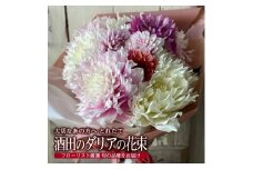 とれたて「酒田のダリアの花束」 SL0213