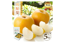 酒田の美味しい刈屋梨(和梨) 秀品　約5kg(12～18玉入)　品種おまかせ SB0669