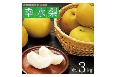 酒田の果物専門店厳選　刈屋産 幸水梨　約3kg(7～9玉入) SA2563