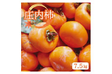 柿 種なし 約 7.5kg 庄内柿 種なし柿 予約 先行予約 果物 フルーツ 秋の味覚 10月発送 11月発送 甘い おやつ デザート JA庄内みどり 山形 酒田 SA2612