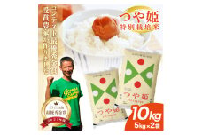 【先行予約】最優秀金賞農家 つや姫 10kg 5kg×2袋  特別栽培米 令和7年産 白米 精米 金賞 受賞 米 お米 こめ コメ 米コンテスト 新米 ご飯 おにぎり 弁当 農家直送 おいしい 先行受付 山形産 山形県産 庄内産 平良農園 山形 酒田 SE0403