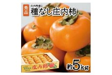 柿 種なし 秀品 約5kg 27～36玉入 先行予約 予約受付 庄内柿 柿 かき 種なし柿 甘い柿 フルーツ くだもの 果物 デザート 秋の味覚 スイーツ 甘い 人気 おすすめ マルト直治郎商店 山形 酒田 SA2589